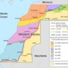 Fronte Polisario Sahara Occidentale Marocco